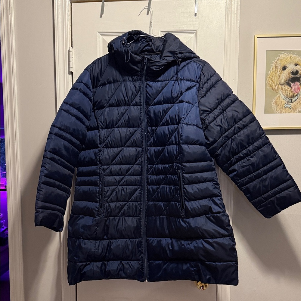 Winter Coat